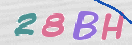 Immagine CAPTCHA