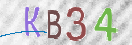 Immagine CAPTCHA